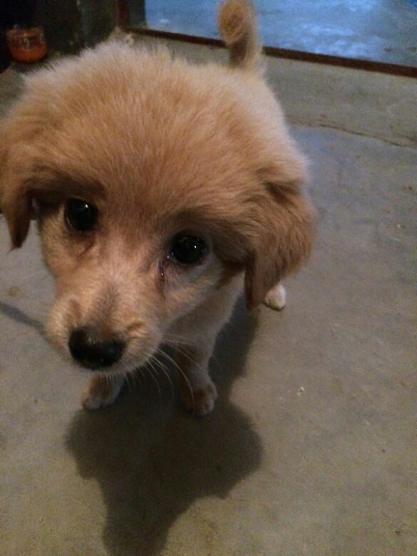 ����ʲôƷ�ֵĹ�����