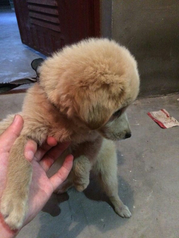 ����ʲôƷ�ֵĹ�����