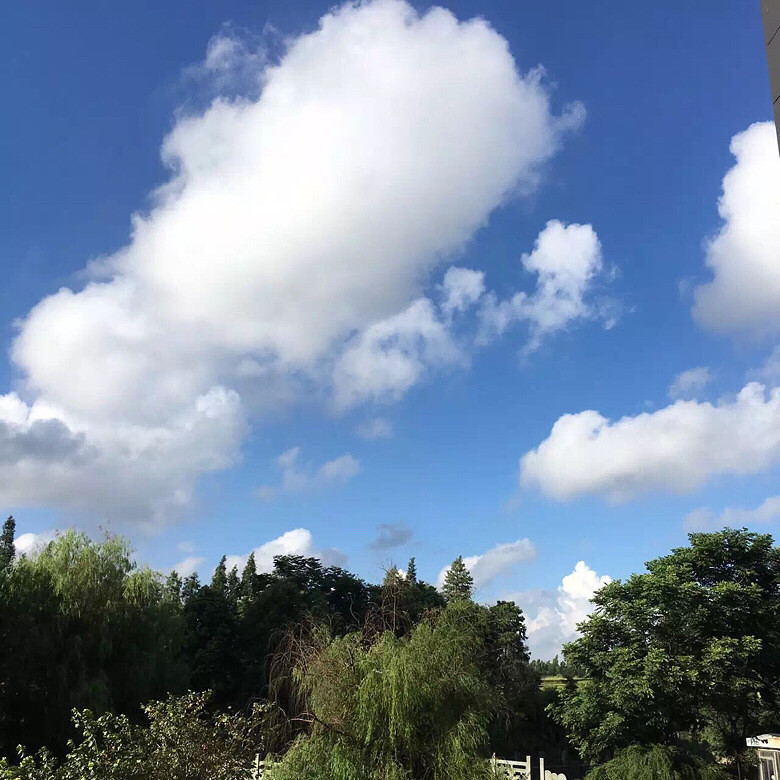 ϣ��ÿ�춼��G20