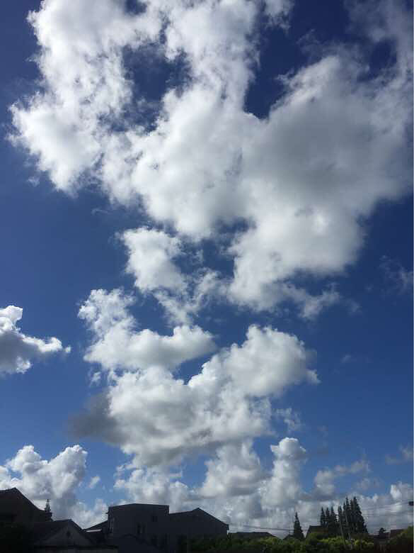 ��������ƺðס�������ô���ʣ�