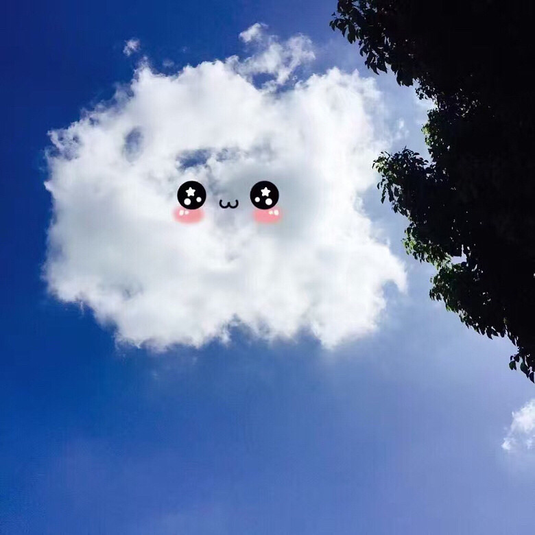 ����ѽ��