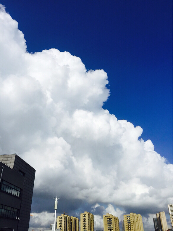 ������ô��