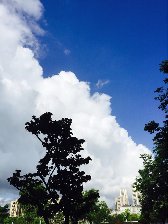 ������ô��