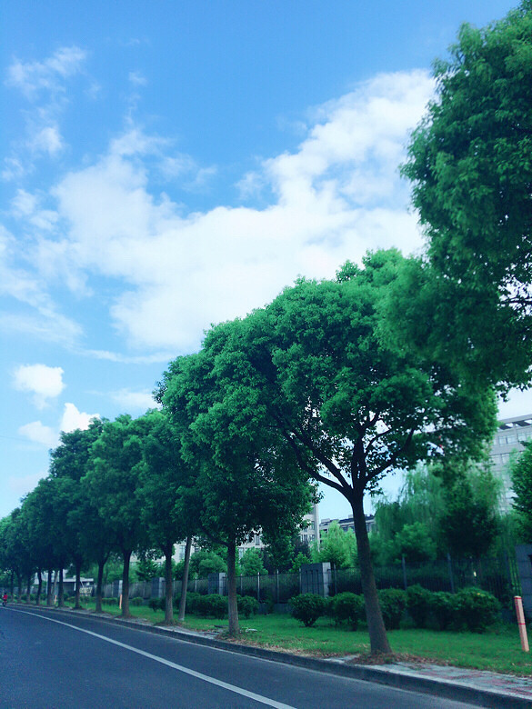 ��������һ����ƣ�̫����