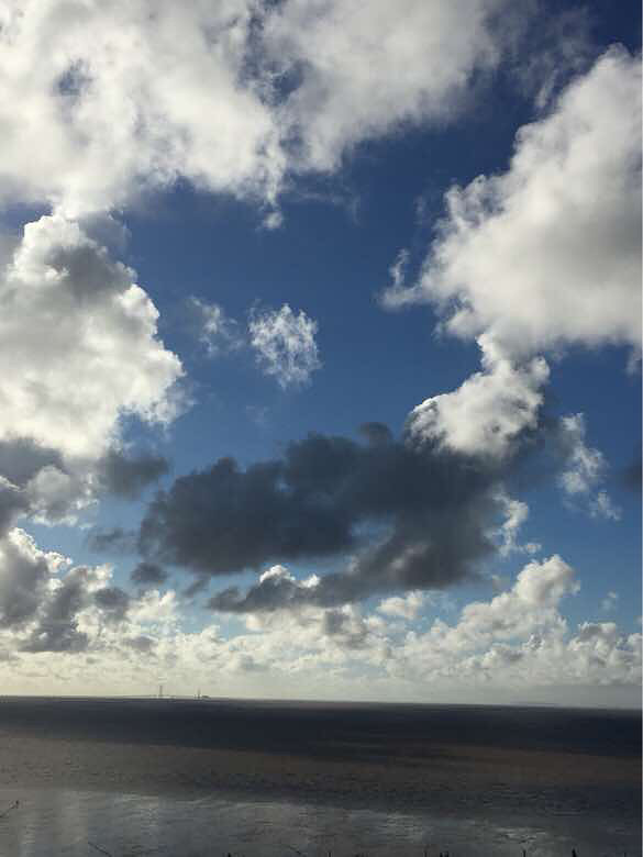 ĺɫ���Σ�ɹ��һ���������ƣ�����һ����