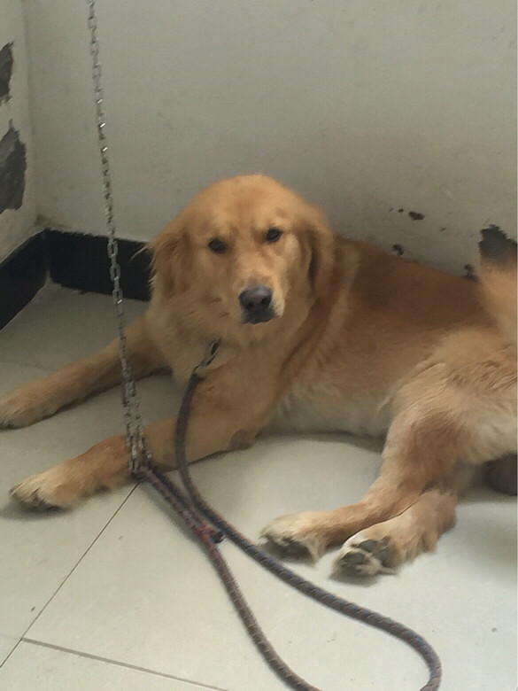 ������Ǯ����Ʊ��Ǯ�����