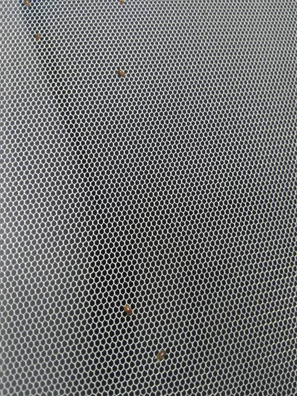 ��С������֪����