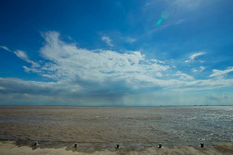 ϲ�����˽�������