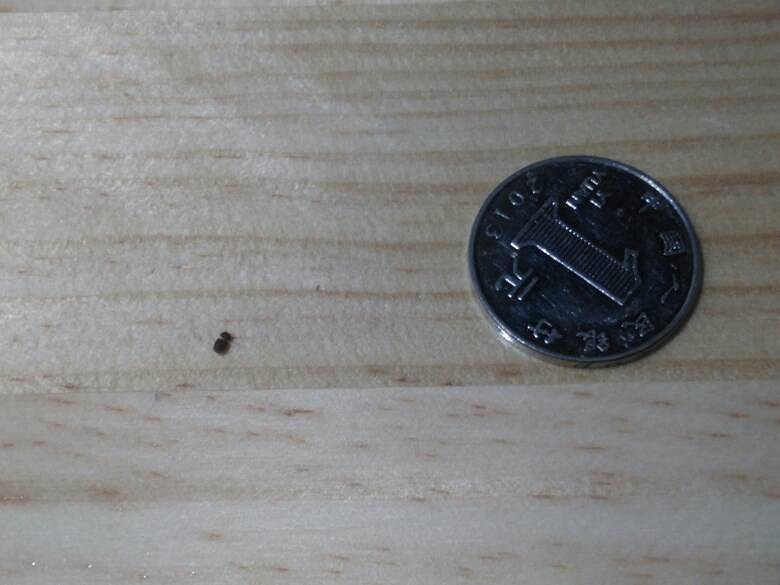 ��С������֪����