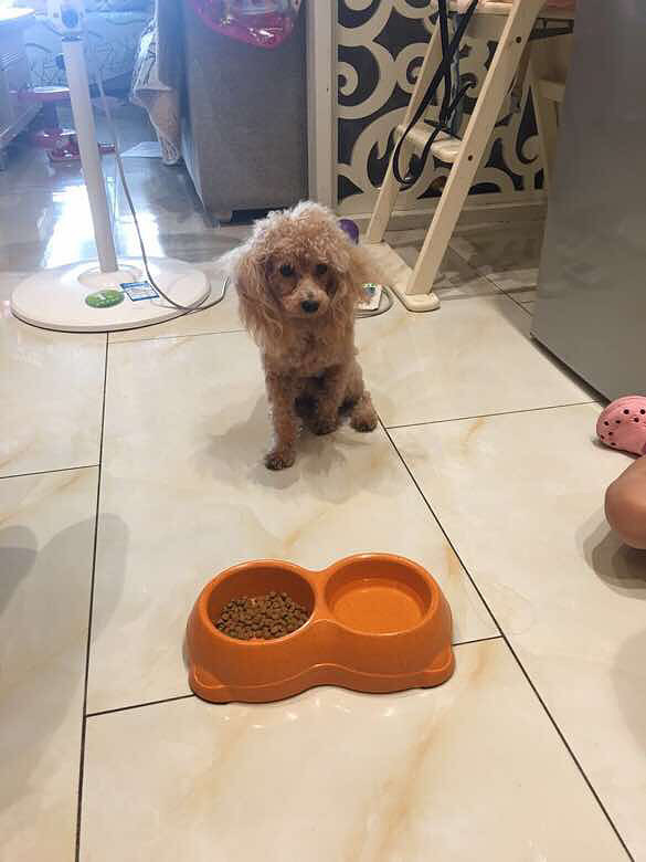 ������Ȼ�������ű�������