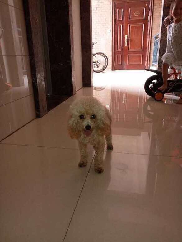 ������Ȼ�������ű�������