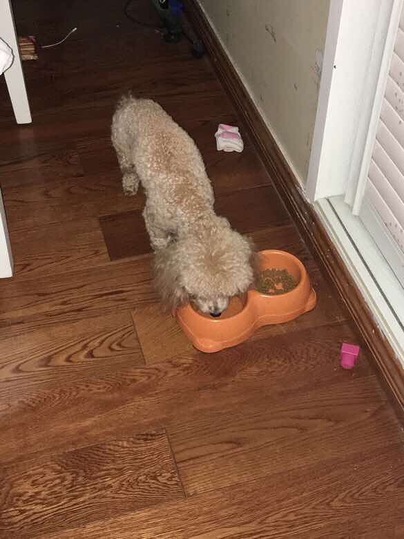 ������Ȼ�������ű�������