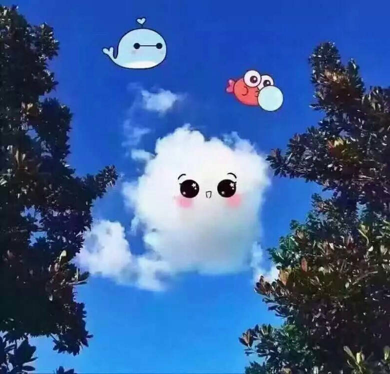 ������ƺ���