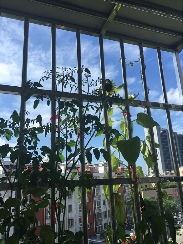 �������պ���