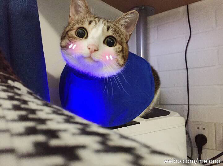 ����������Ϧ