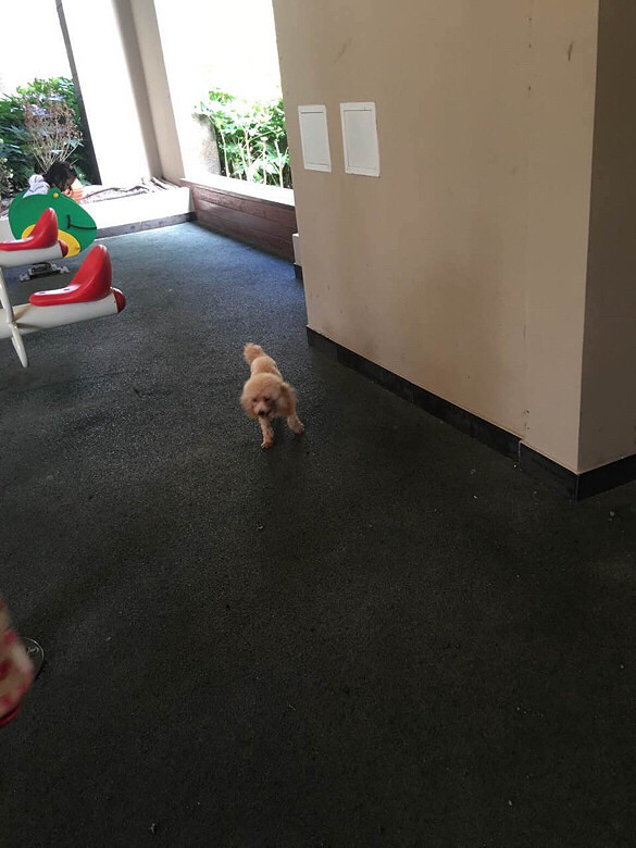 ���˹�����