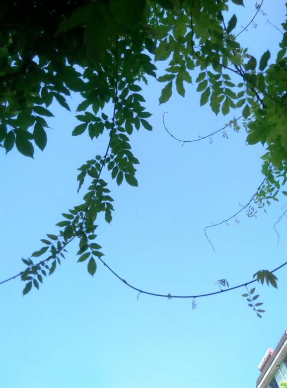 ͬ������ͼȴ�������������