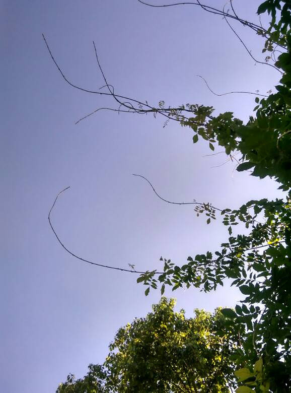 ͬ������ͼȴ�������������