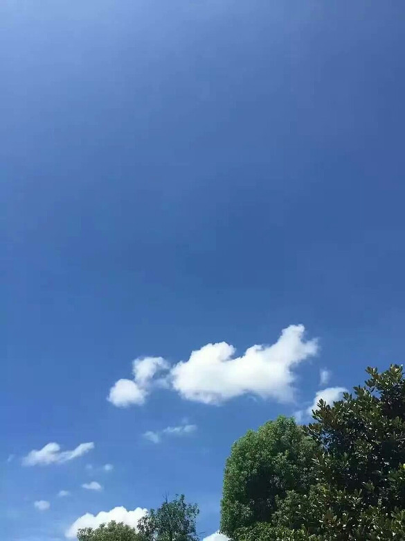 ������ƺ���