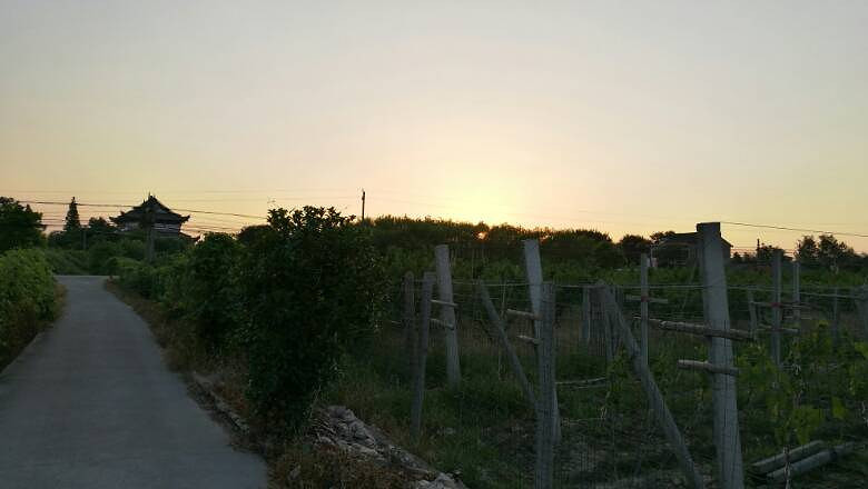 ��û�е�����Ч��