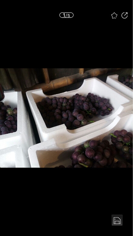 �ܱ��������ժ����