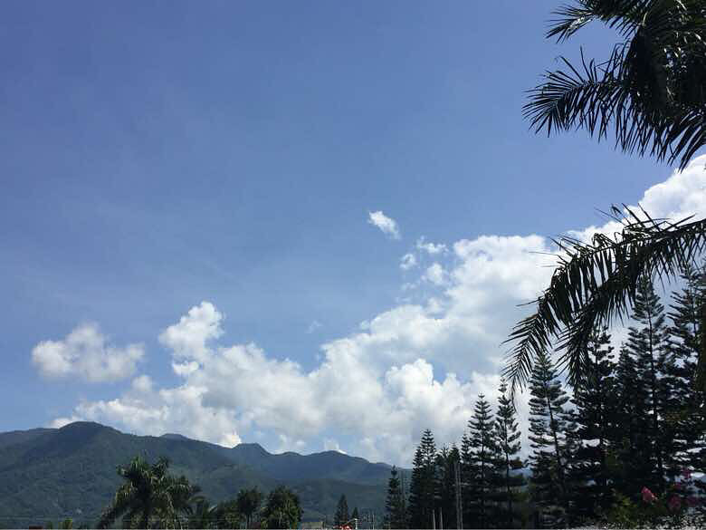 ��ҹ����