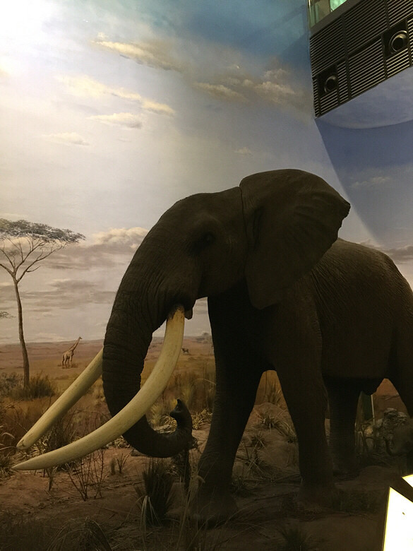 �Ϻ���Ȼ�����һ��