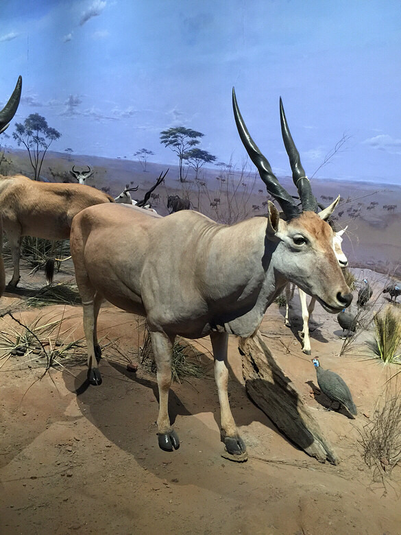 �Ϻ���Ȼ�����һ��