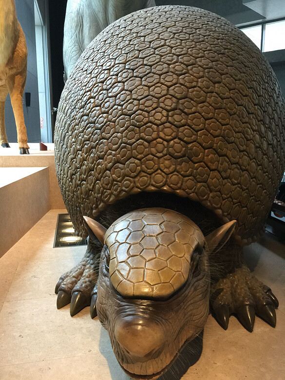 �Ϻ���Ȼ�����һ��