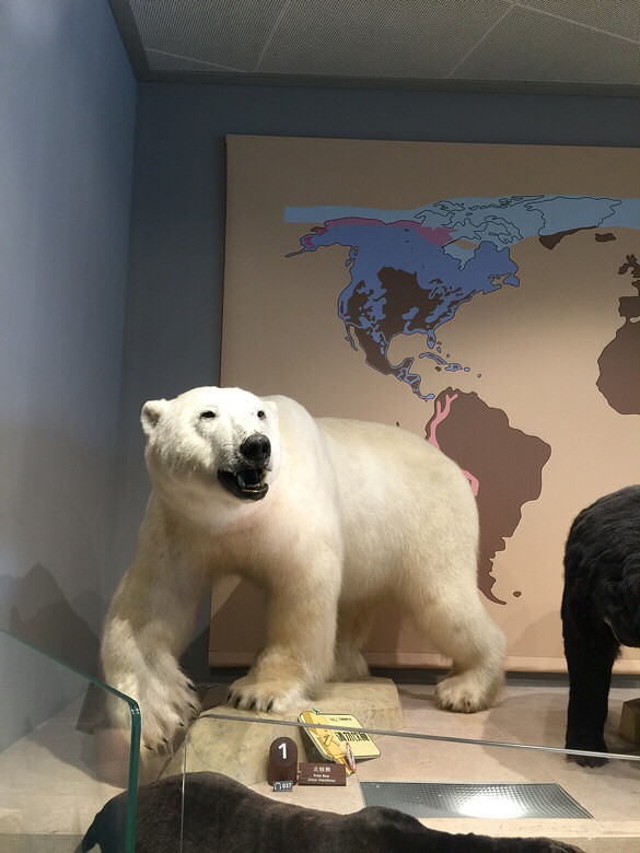 �Ϻ���Ȼ�����һ��