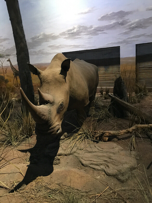 �Ϻ���Ȼ�����һ��