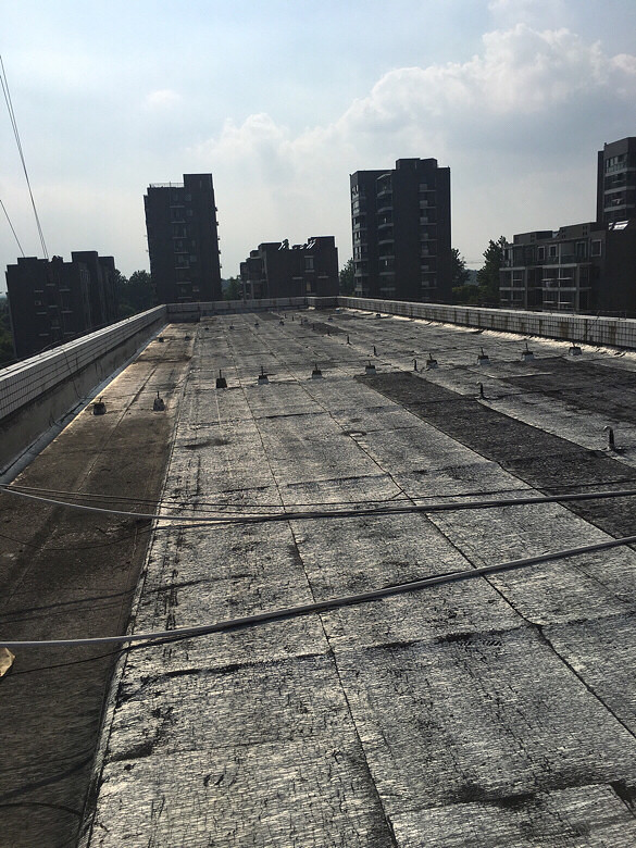 ֮ǰȥ���ֳ��ڷ������ĵģ�  ������