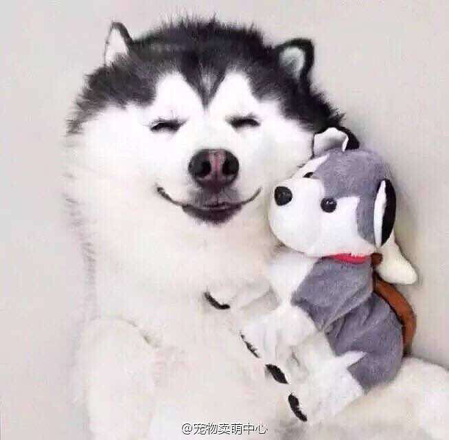 ������ѧ�����٤�ĵط��㣿