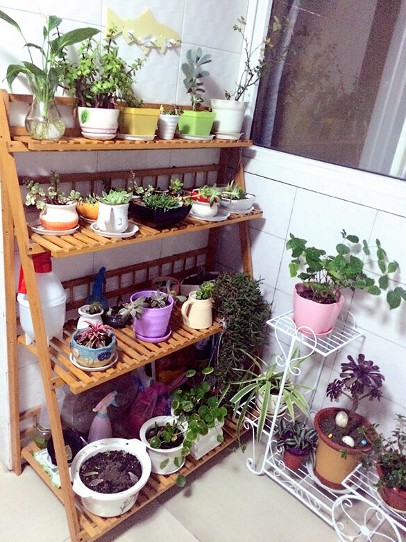 ���ϻ�����  ����Ҫ��ס��  ��ˬ����