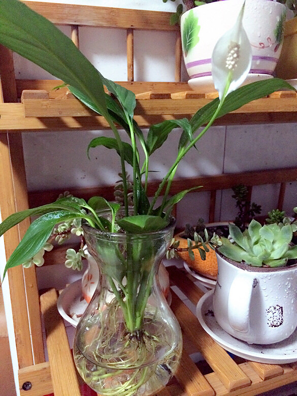 ���ϻ�����  ����Ҫ��ס��  ��ˬ����