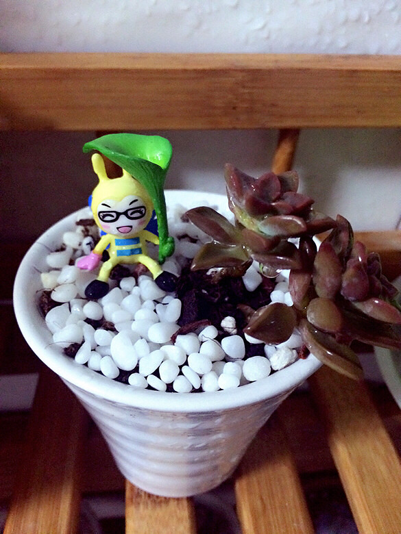 ���ϻ�����  ����Ҫ��ס��  ��ˬ����