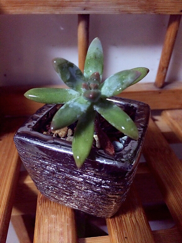 ���ϻ�����  ����Ҫ��ס��  ��ˬ����