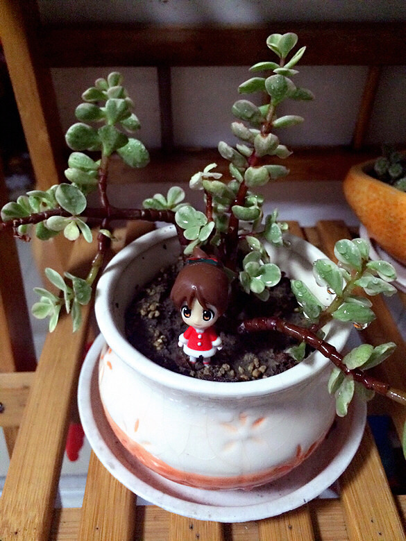 ���ϻ�����  ����Ҫ��ס��  ��ˬ����