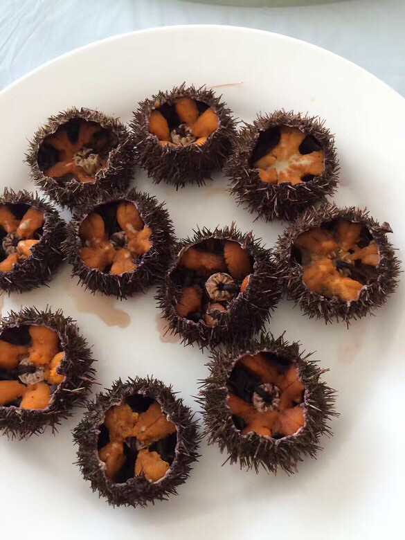 �Ի���֪������ɶ