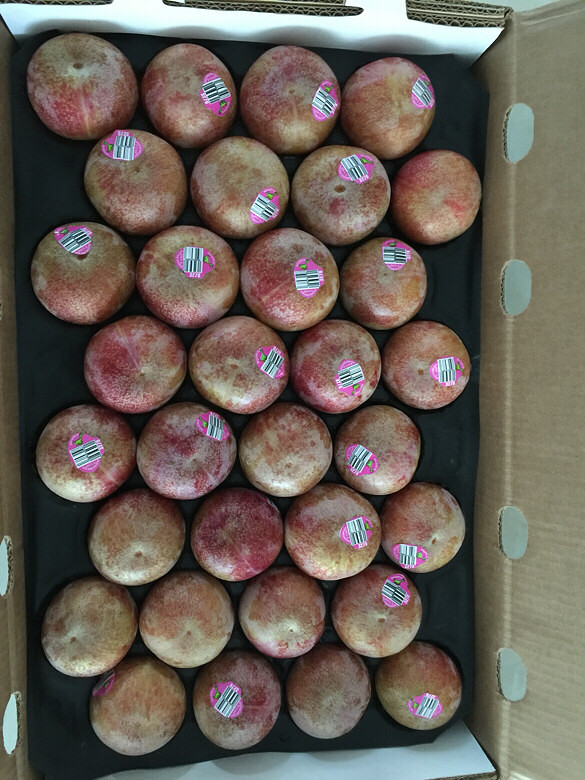 ���óԵĿ�����