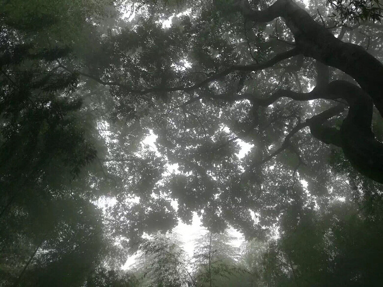 ��������⾳