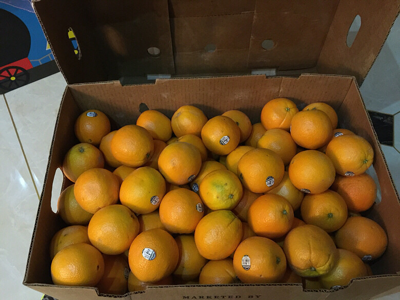 ���޵ĳ���