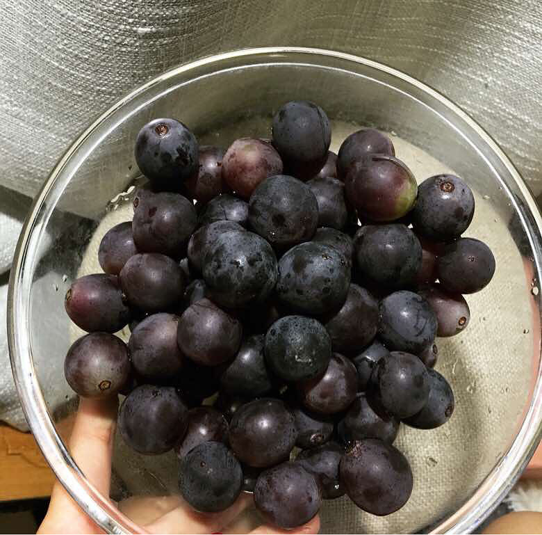 ������ʵfans