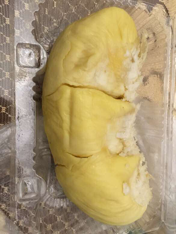 �������������ĳ���