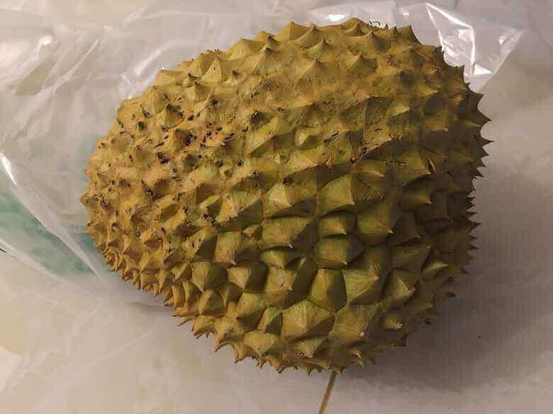 �������������ĳ���