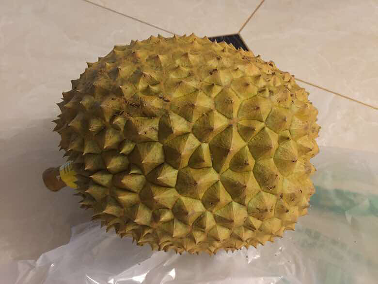 �������������ĳ���