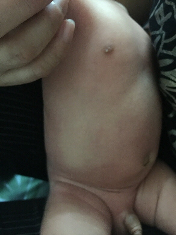 �������ϳ���һ���׵��