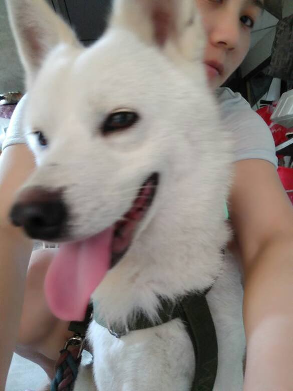 ��Ҳ������