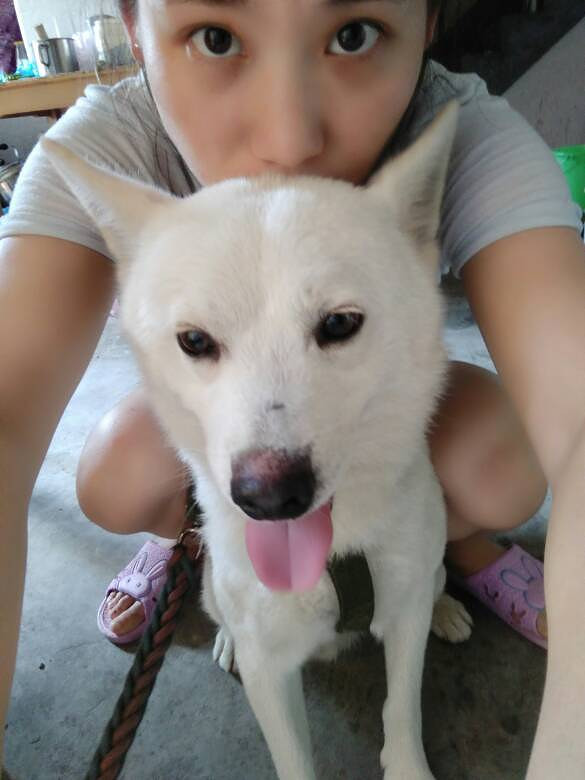 ��Ҳ������