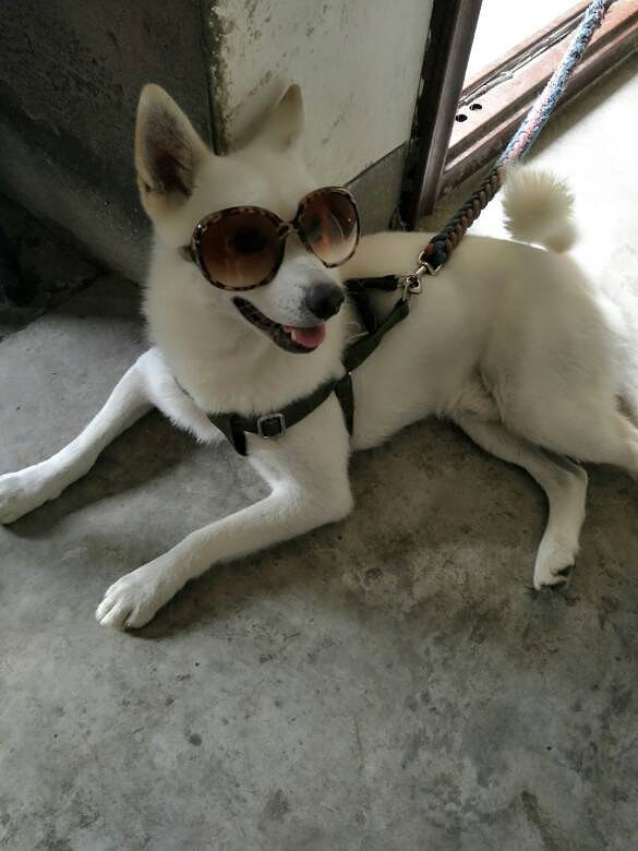 ��Ҳ������